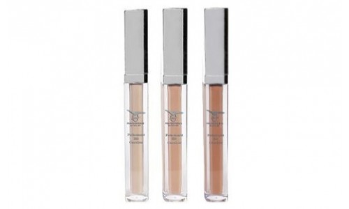 “Perfectionis t” HD Foundation